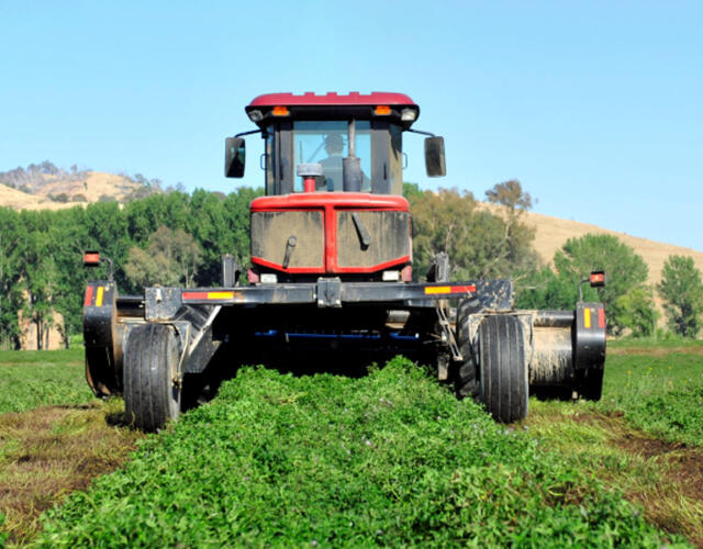 Australian Mint Oils & Flavours tractor - producer-compounder-supplier of premium mint oils and flavours.